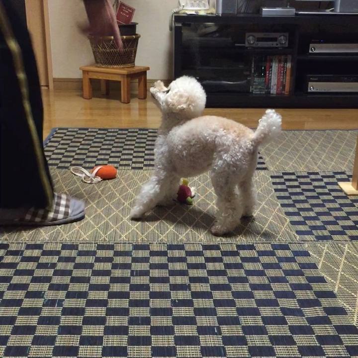 935649e5 2141 49ed a4b3 a9e037e2a19b