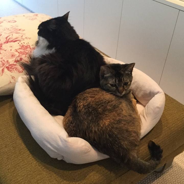 93568a41 85ea 4f78 82a8 90eff3c4b318