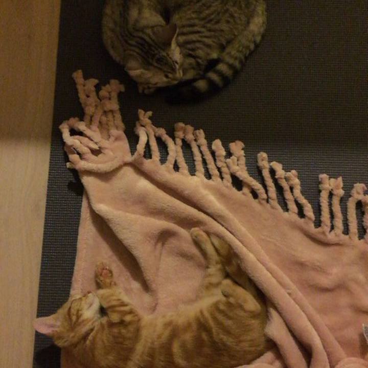 9356a5e3 2d0e 448f a9aa d79b329a7506