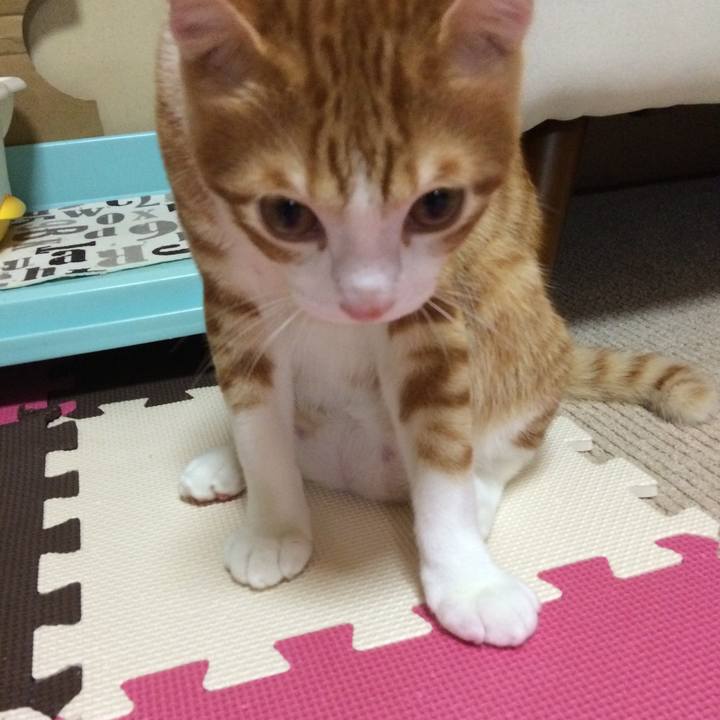 93581d3d 1b35 4525 9654 ba867b8a7e8c