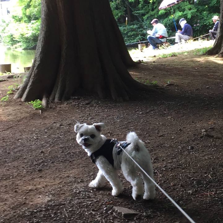 93588668 0973 4bfb 8581 bfe30209a7b2