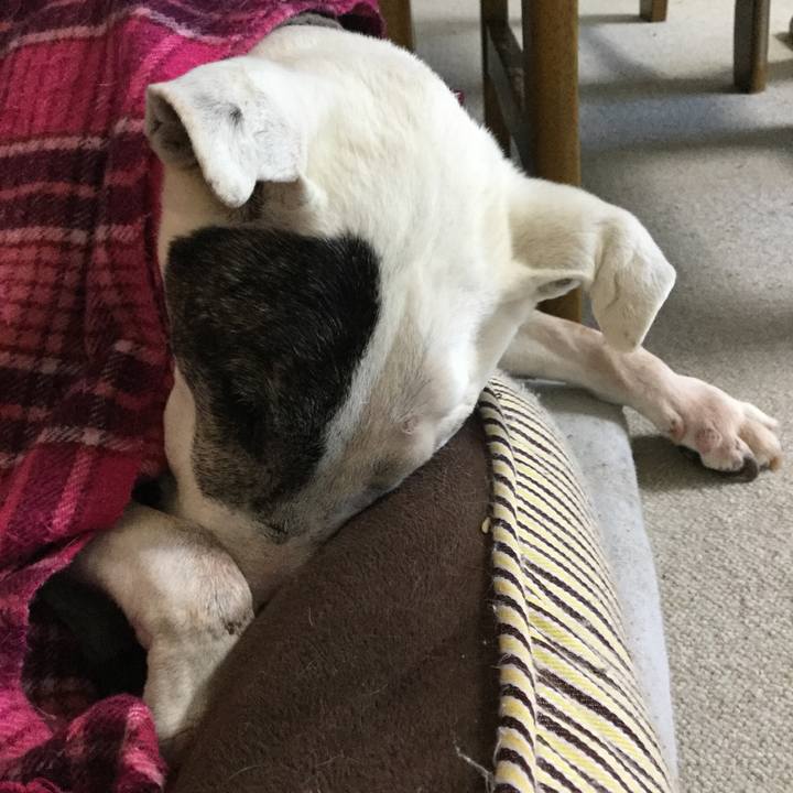 93588d45 4e48 4d10 b670 ad75b20a7d56