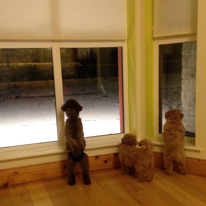 9358cda0 62b5 4939 bb3f 7fc5c59d9181