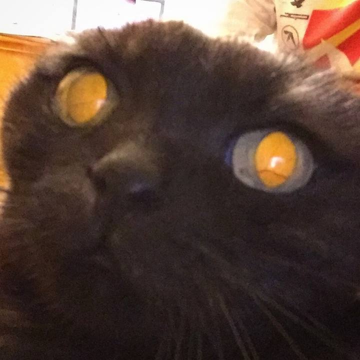 935920e0 f272 408a 984d 01d0b1812815