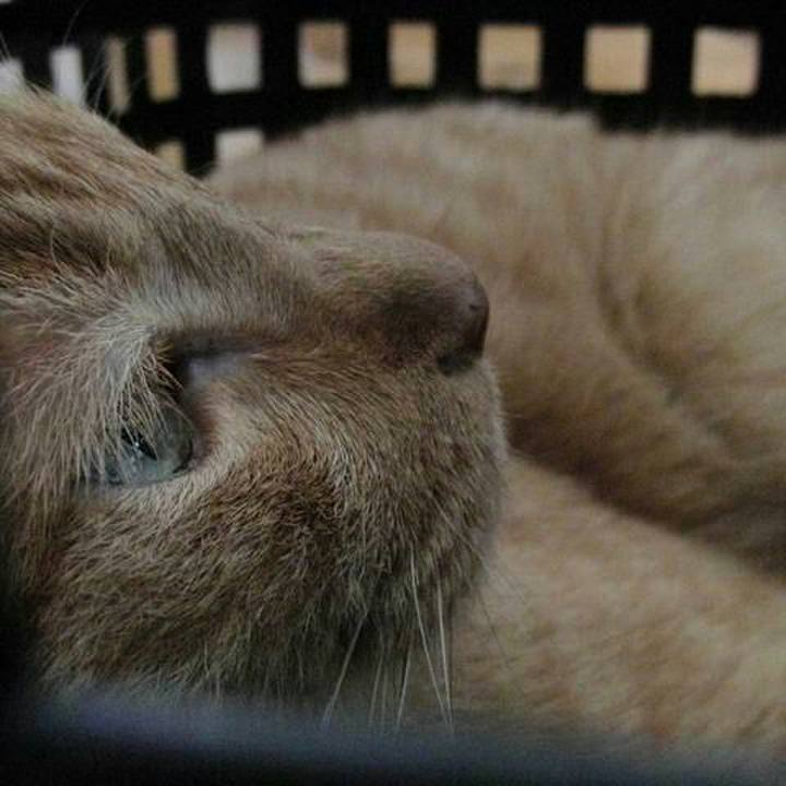 935937d4 8f57 4221 823b 8756d4754a38