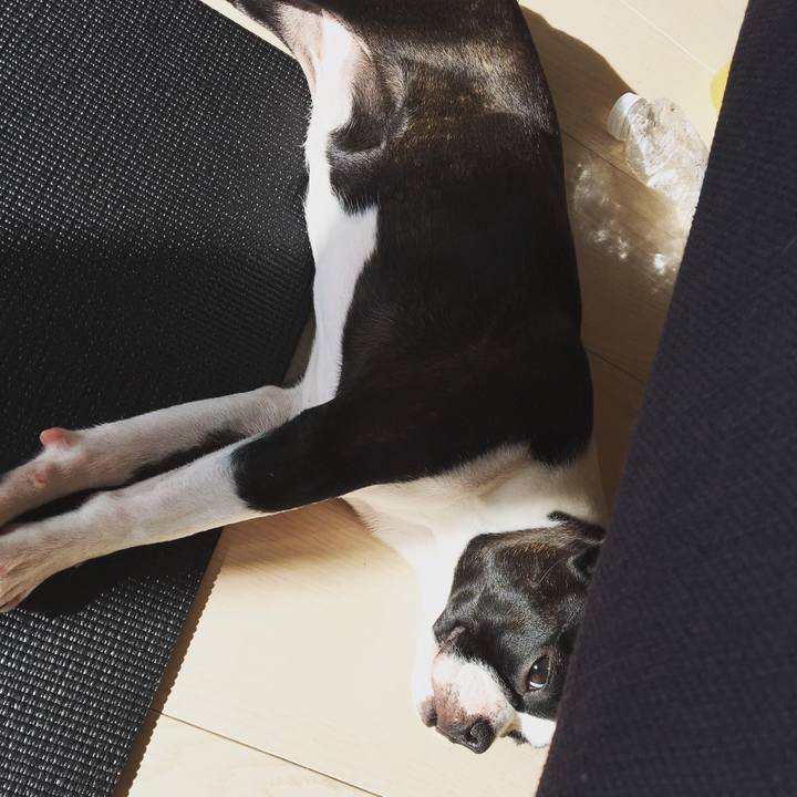 93594400 1550 440f befe 14b34a4adbec