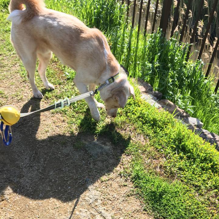 9359507c 4233 424e bfd1 838290b44e9b