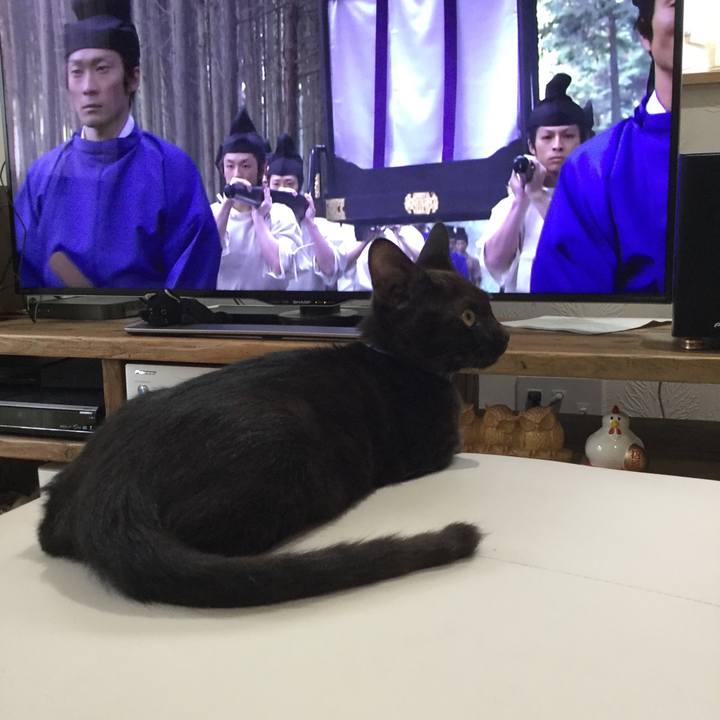 93595818 67c3 4979 9add ab170dce4e61