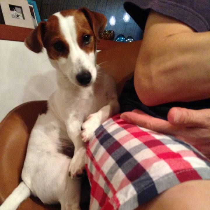 93595ae8 6179 4d35 b518 ac874f80e1bf