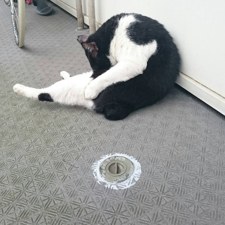 93597c0e dd97 4c44 86c8 2f10977289d1