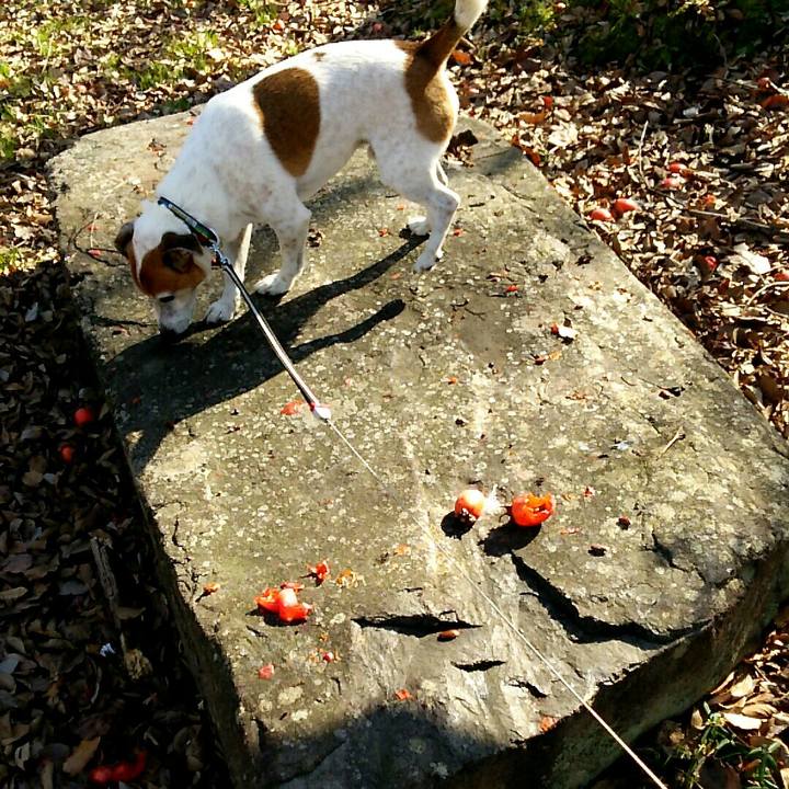 93599aac 7743 43d1 87e8 a7d3122f6a1c