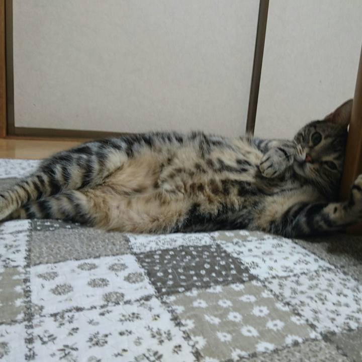 93599f5b 42bd 4a5e a8dd c32a90e663e1