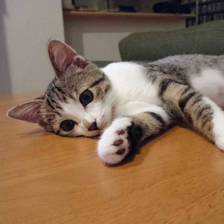 9359a3de ffb6 4e52 9dd2 af1ffd56774f