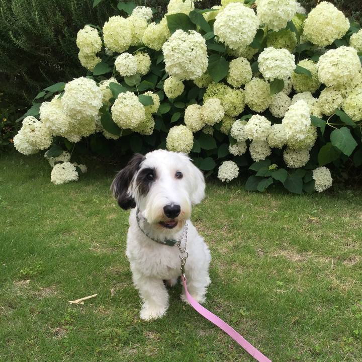 9359cb8e 4065 4a9d 9d2d d9b0fa4828d8