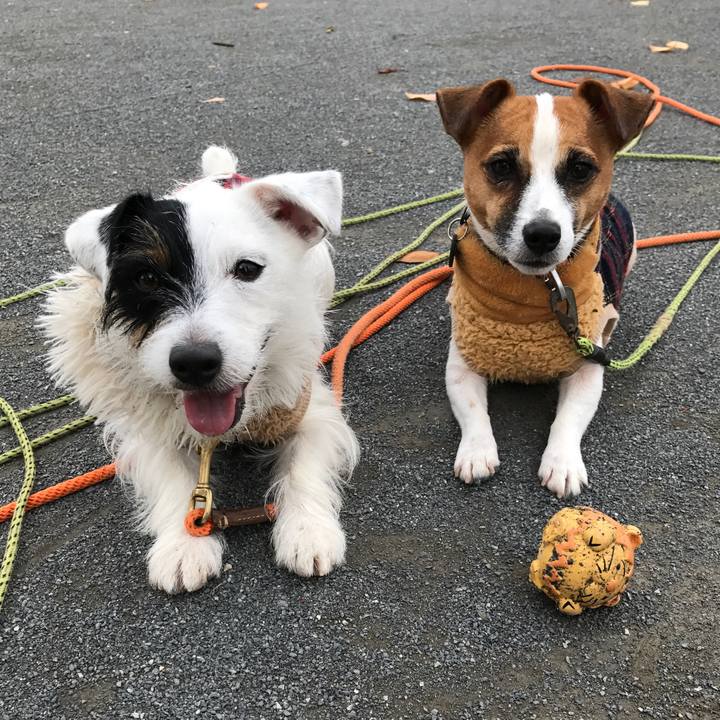 935a63c6 23a4 4cc7 848a 5b3fe866f943