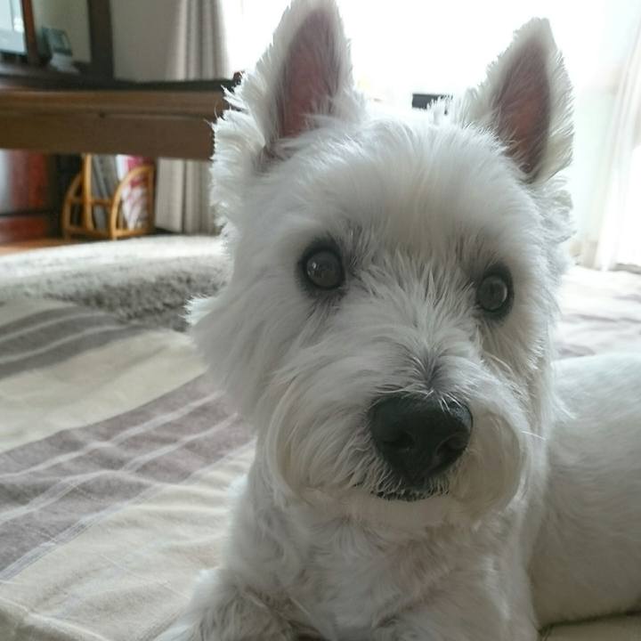 935ad06c 2a10 4c47 943b c05c1e290106