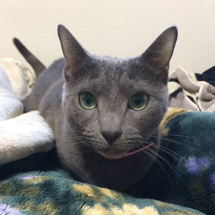 935af8d9 37e9 4c19 9685 be0b1ed31cf4