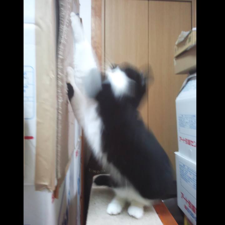 935bdc28 bb31 4b1f abf6 0ff1d70569cd