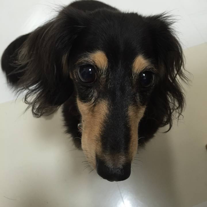 935beeee 8af2 4ed7 af14 8170ef965cc0