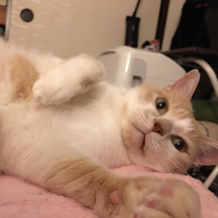 935bffe6 4212 475a 9202 fd63ffaeef20