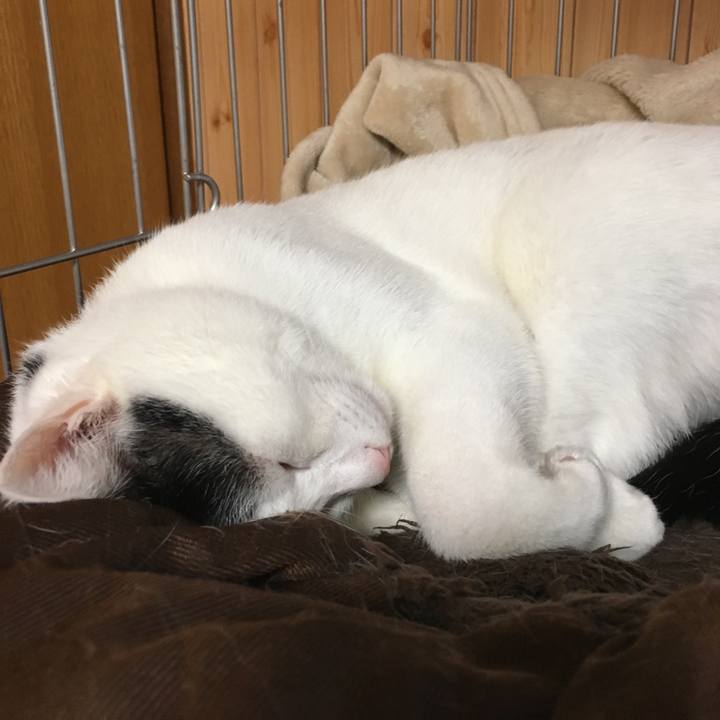 935cdf46 613c 4236 943d a7e6bc7a2d60