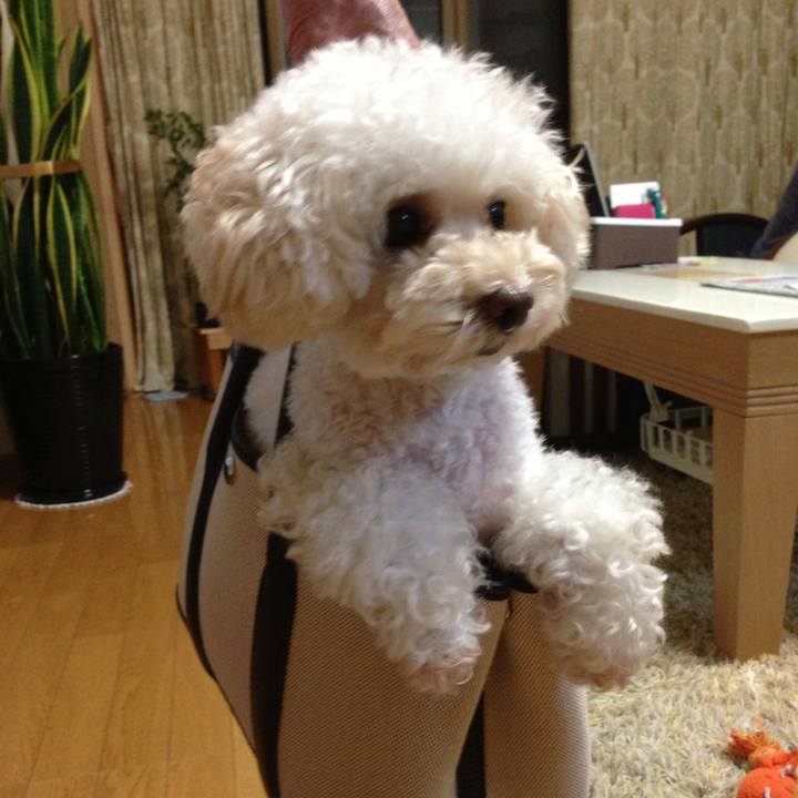 935d4a15 c923 4db4 82e6 f05fc45058c7