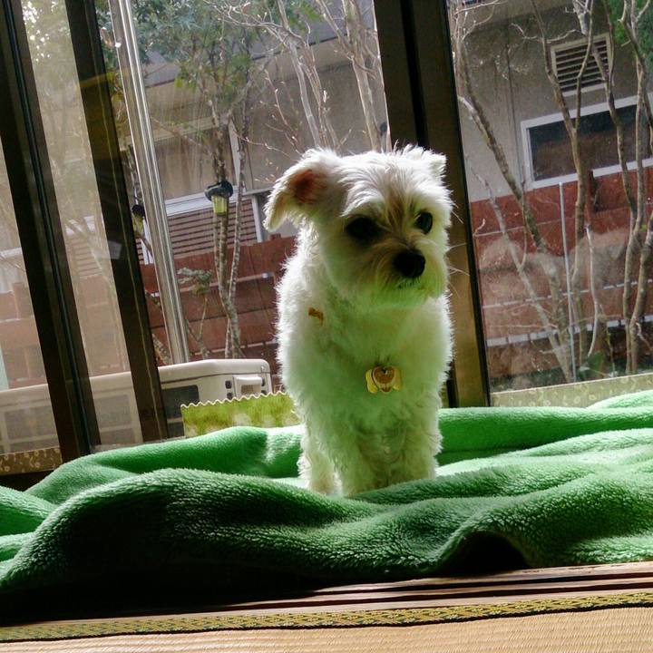 935d72ef 621c 494b a398 be7cbf555cda