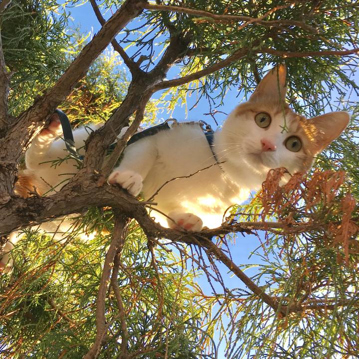 935ddf69 5029 42fb b0d4 5b78c9fd3523