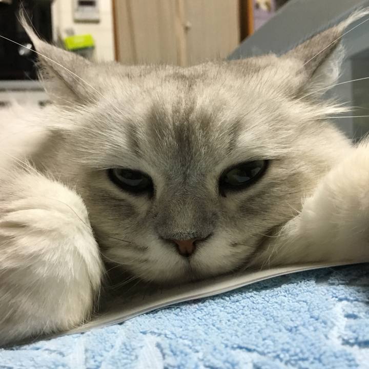 935e105a 6875 4623 bba0 cac5a69be9f5