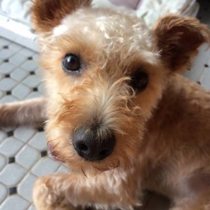 935e16ea 754e 4297 845a bd88fa063a79