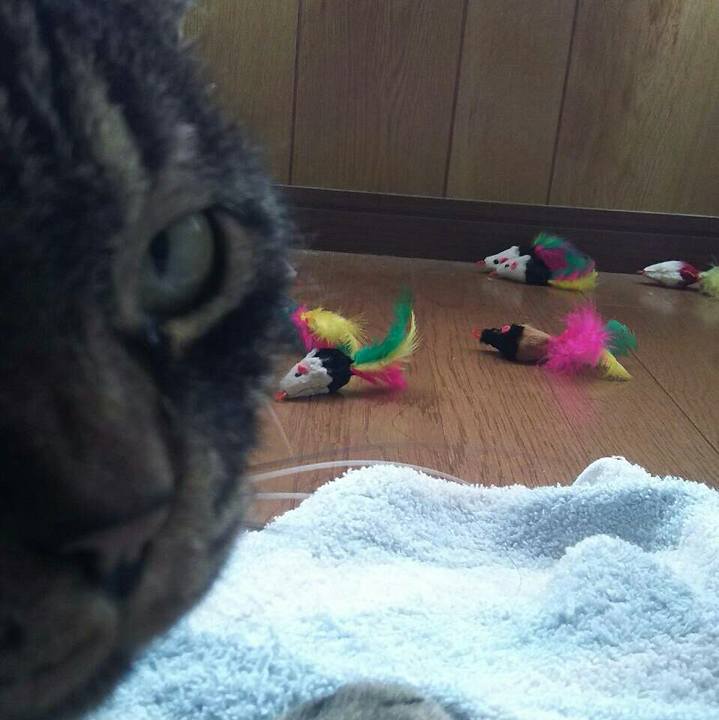 935e328b 107e 438e acb6 28b868fcd13c