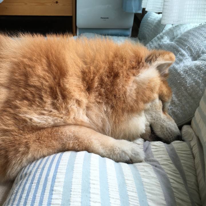 935e6550 a80f 477c 8beb e8ab356c3336