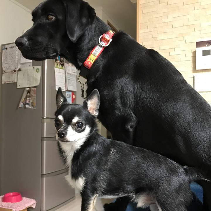 935efacd b502 4dae 8e3c b5042650d2a3