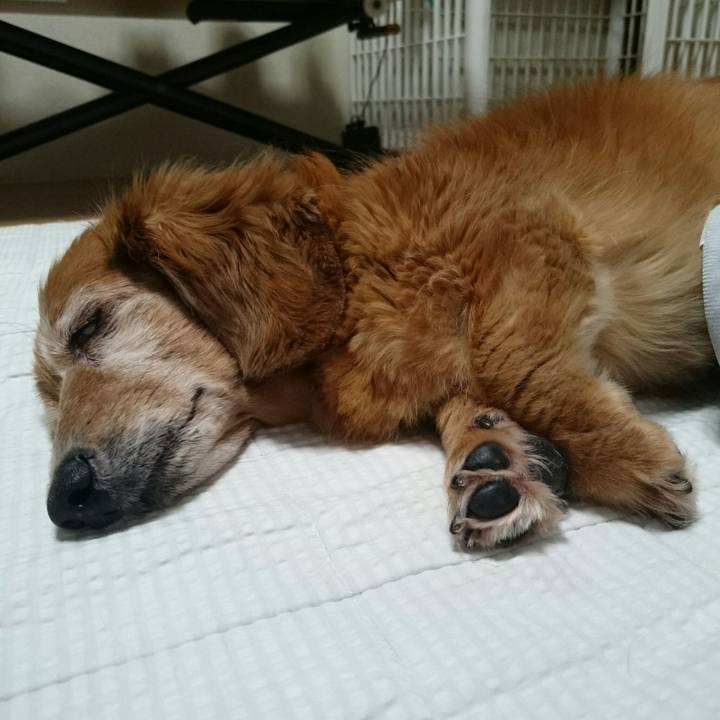 935f1783 14e4 45d4 bce7 d62435734702