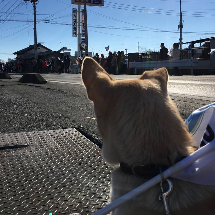 935fd201 34b4 4755 9678 9c2f731b5241