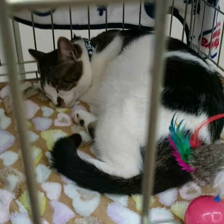 93604ce4 b27d 4765 a622 75590533e2c4