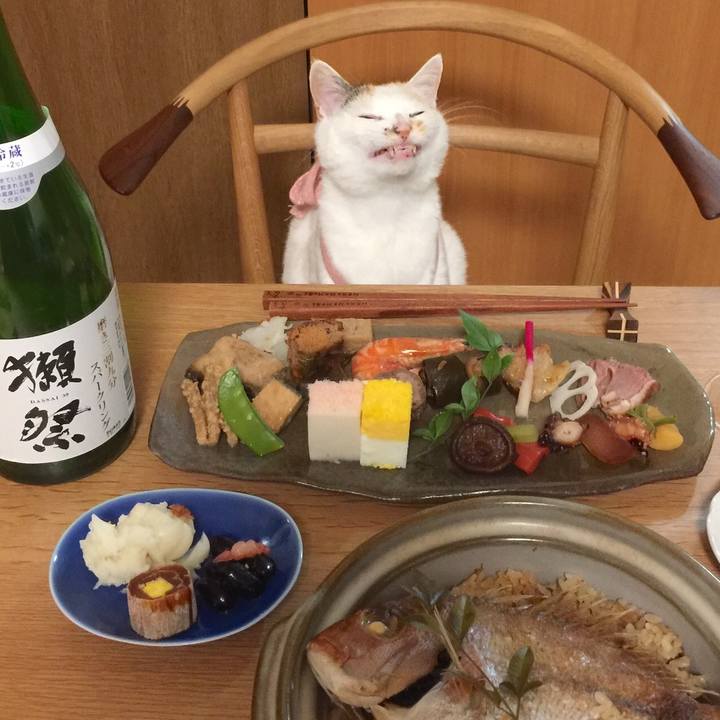 93609e58 00bf 4d16 ad2e 9f572e42ccbd