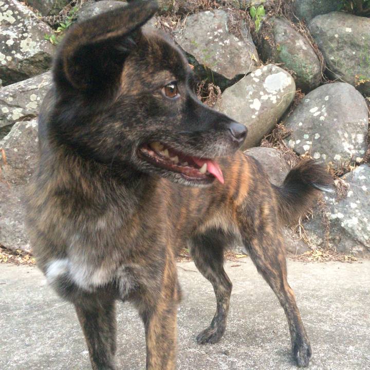 93612e94 bd19 410d a6d3 ec98ddfd5a00