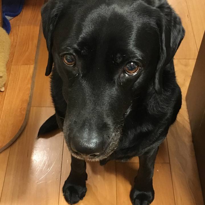 93613d68 9df4 4b22 b937 fdfbaa12507c