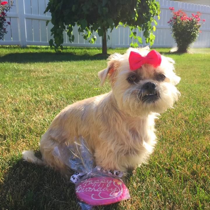 936198d9 017f 4f92 8547 a067b7138858