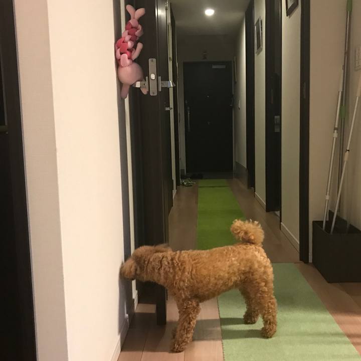 9362083d 458c 4f5e 8695 789c89b88c4f