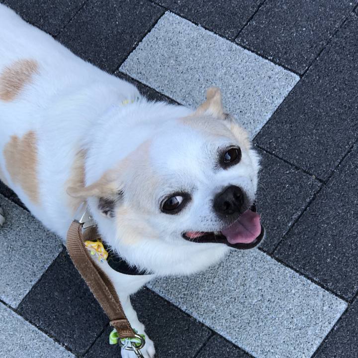 93622b05 230a 4241 97dc 7b932b5b5022