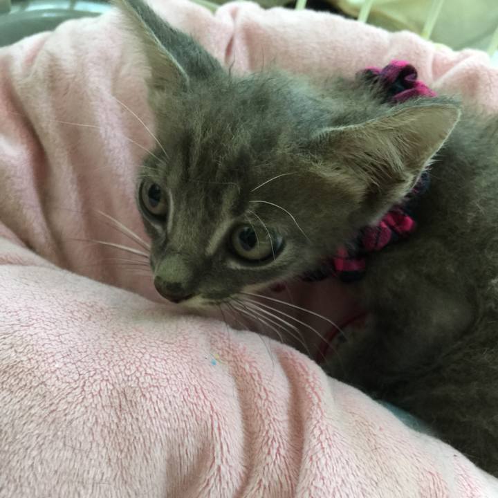 9362aed3 fdf6 4ce0 bdb6 1f50f8f366ed