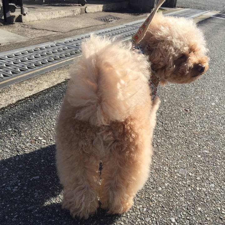 9362da55 97de 4bb8 a231 17486d2dd2bc