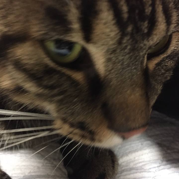 9362f29c e8d1 4e15 8959 6f417383c523