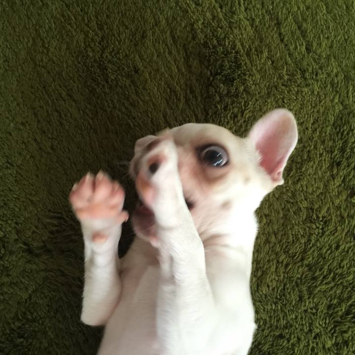 93633bd2 7598 4fce 9eea 2f1893d399be