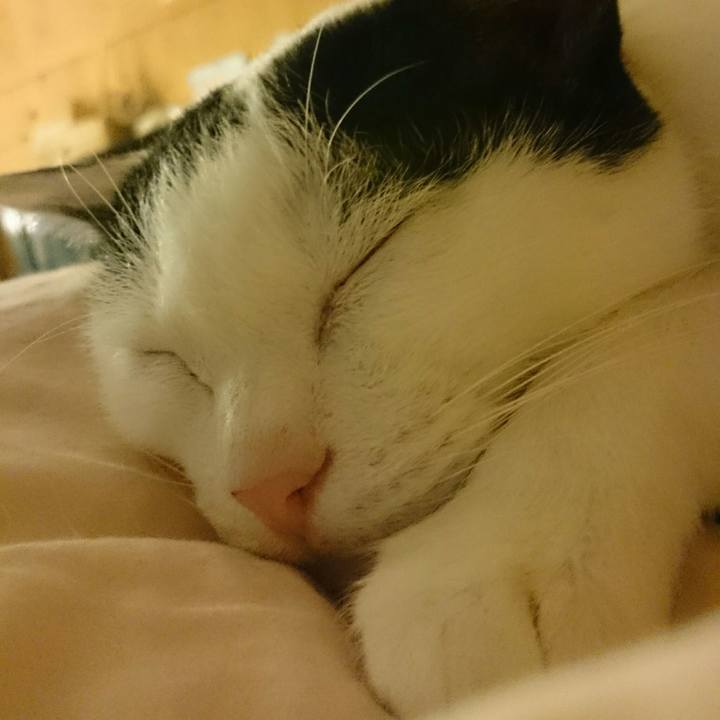 9363844c af68 4229 be50 82cb9f9094c2