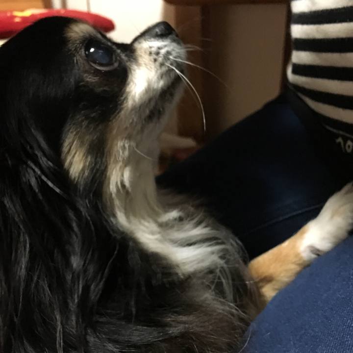 9363d0d8 fb37 46e3 bd45 f5be4a2b2814