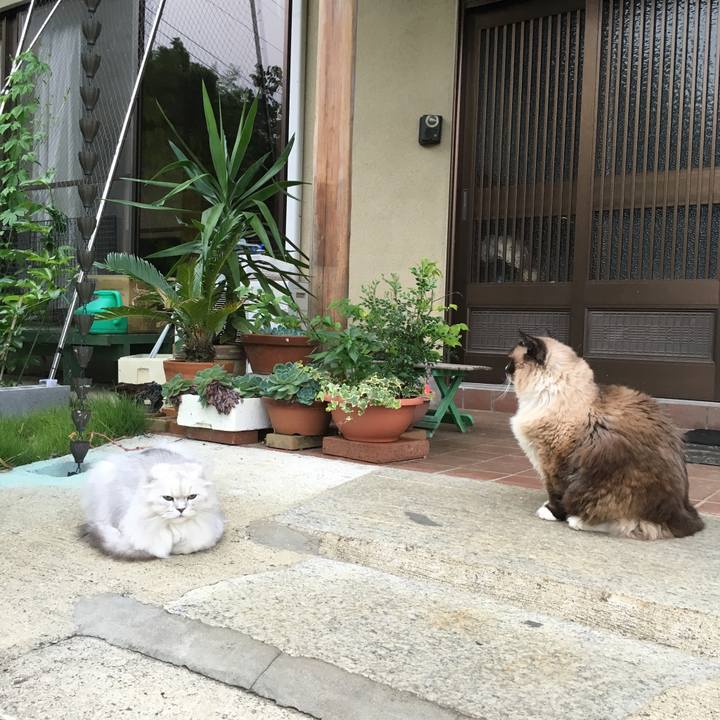 9363feff e57e 4e68 9daa c46c04474db6