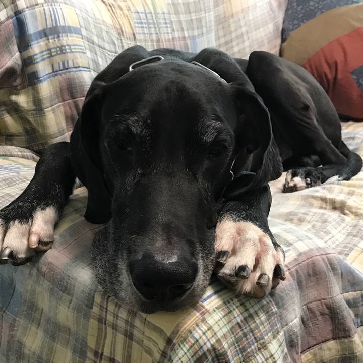 9364fb3c cfc1 4915 ad83 74f787a07837